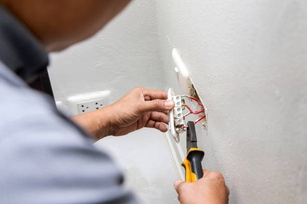 Best Home Electrical Repair  in Portland, MI